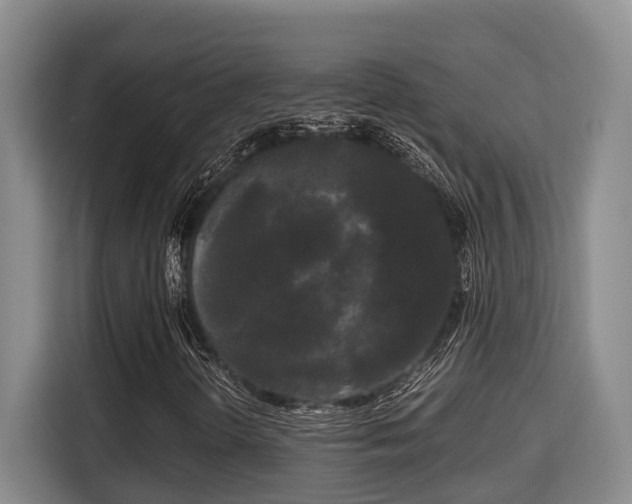 X0000115721298200911191343