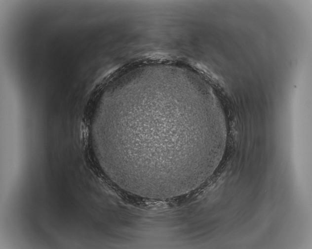 X0000115721302200911191343