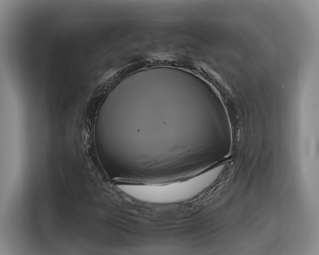 X0000115721303200911191343