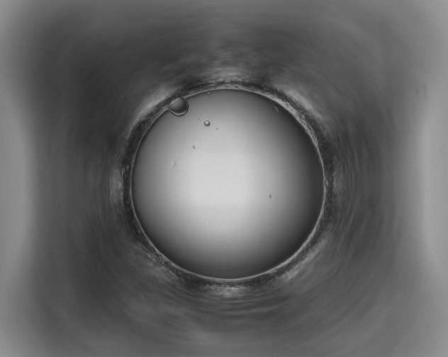 X0000115721309200911191343