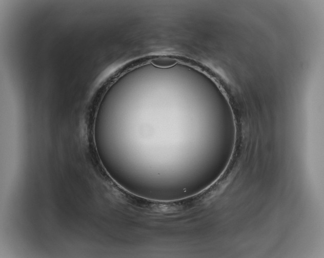 X0000115721311200911191343