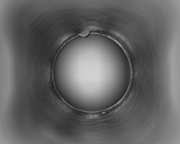 X0000115721313200911191343