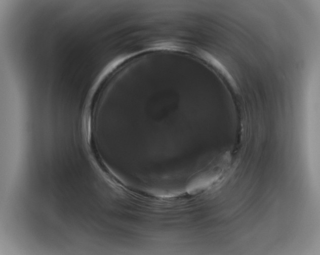 X0000115721323200911191343
