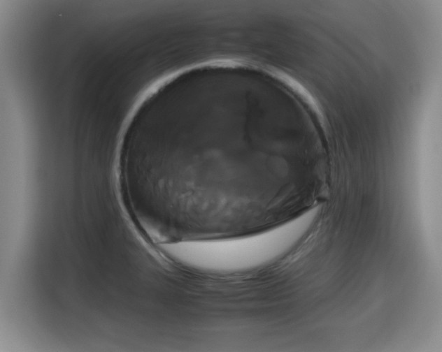 X0000115721327200911191344
