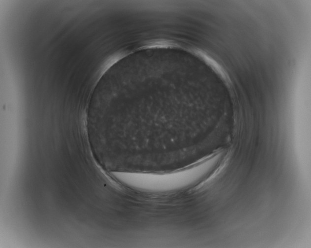 X0000115721329200911191344