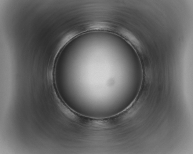 X0000115721330200911191344