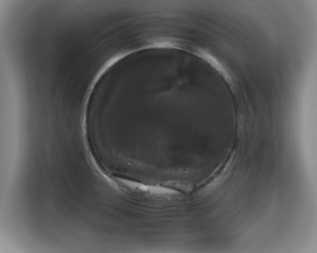 X0000115721331200911191344