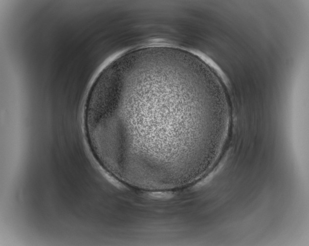 X0000115721333200911191344