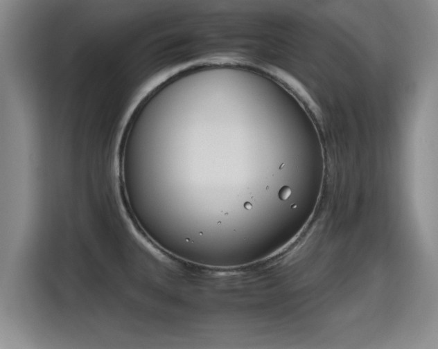 X0000115721335200911191344