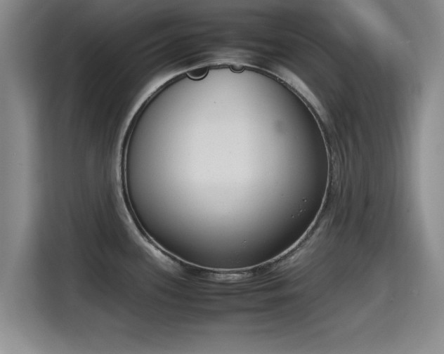 X0000115721339200911191344