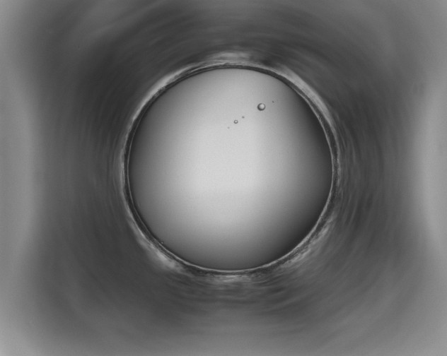 X0000115721341200911191344