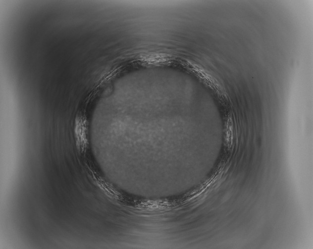 X0000115721346200911191343
