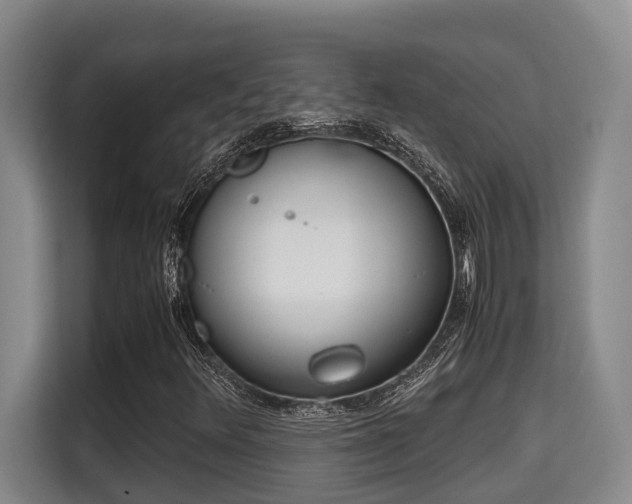 X0000115721348200911191343