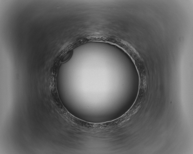 X0000115721350200911191343