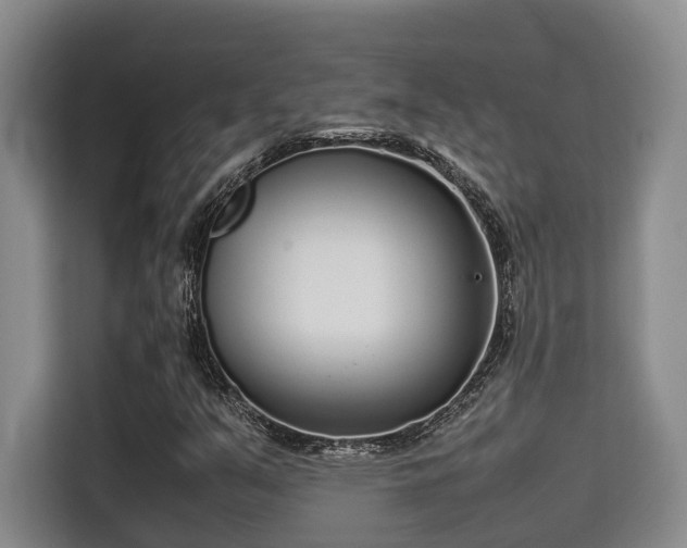 X0000115721351200911191343