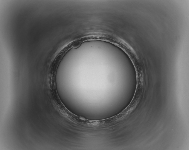 X0000115721352200911191343