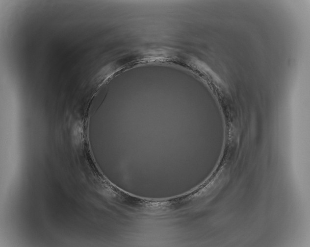 X0000115721353200911191343