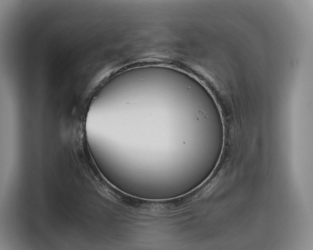 X0000115721355200911191343