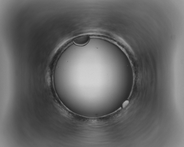 X0000115721360200911191343