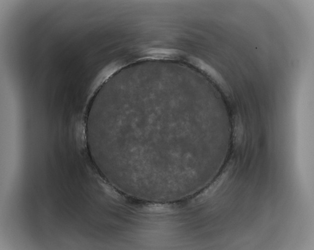 X0000115721362200911191343