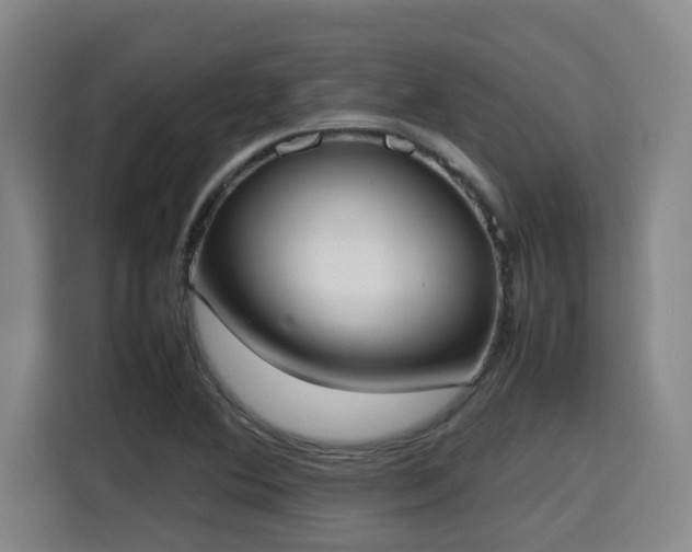 X0000115721364200911191343