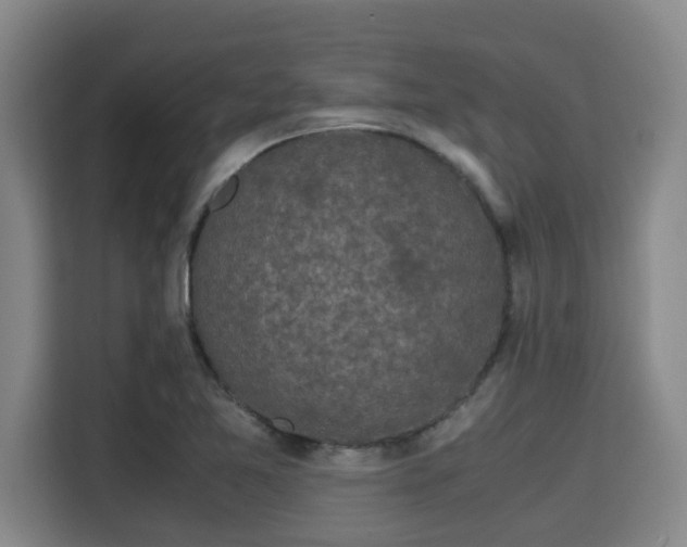 X0000115721365200911191343