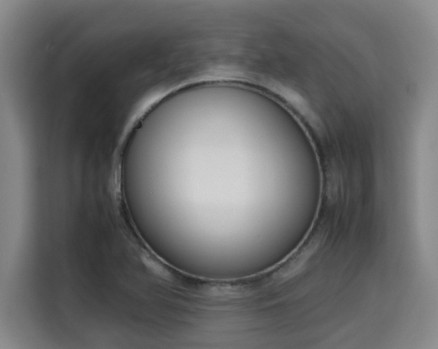 X0000115721366200911191343