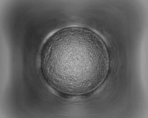 X0000115721367200911191343