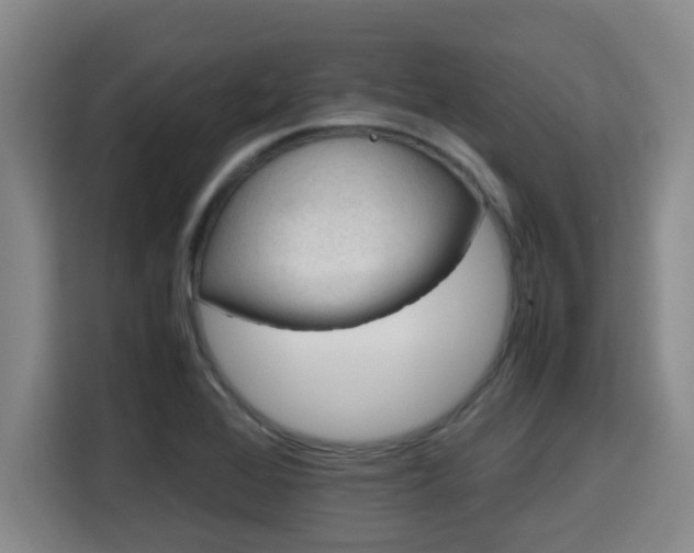 X0000115721368200911191343