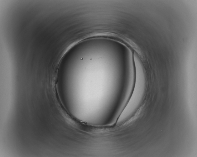 X0000115721369200911191343