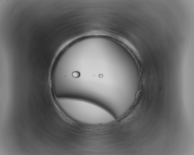 X0000115721372200911191343