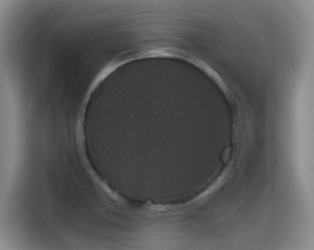 X0000115721373200911191343