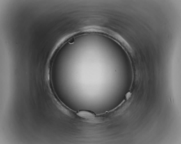 X0000115721376200911191343