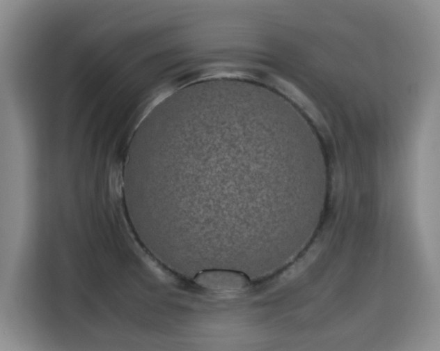 X0000115721377200911191343