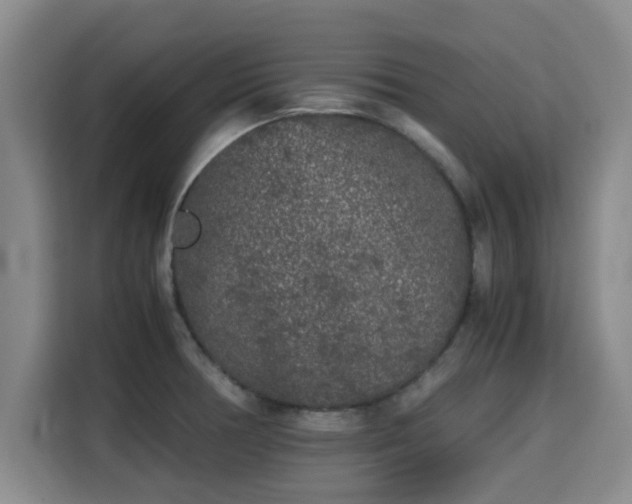 X0000115721378200911191343