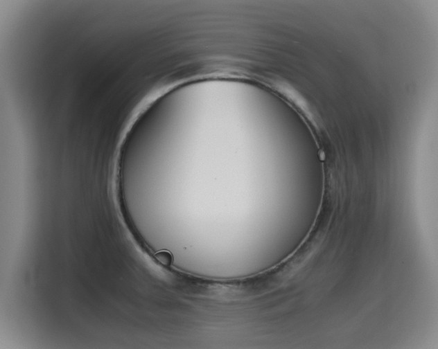 X0000115721379200911191343