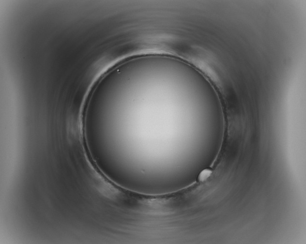 X0000115721380200911191343