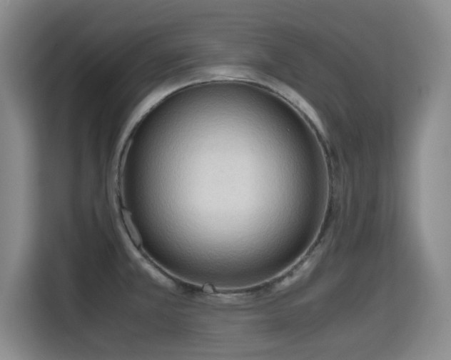 X0000115721381200911191343