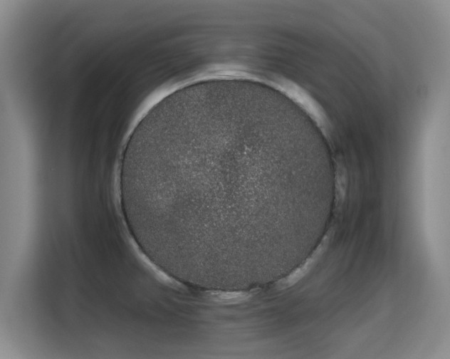 X0000115721382200911191343