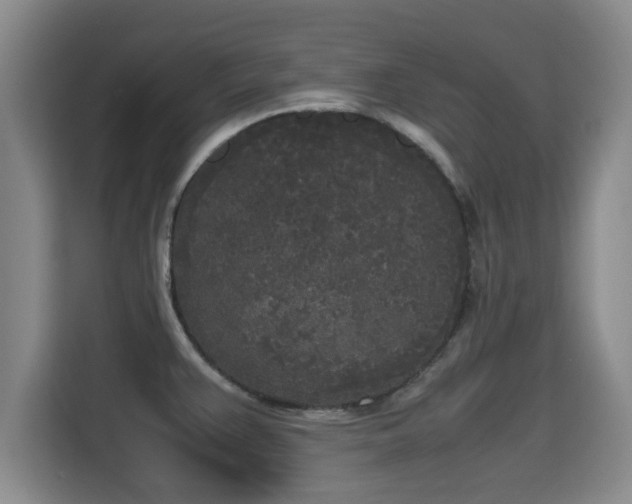 X0000115721383200911191343