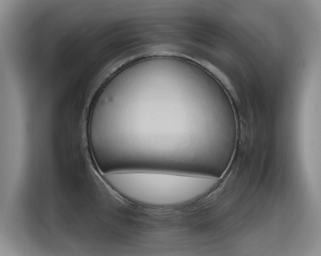 X0000115721384200911191343