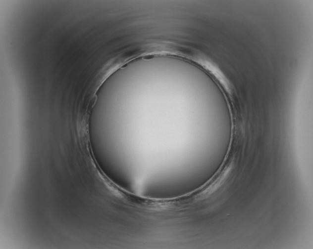 X0000115721385200911191343