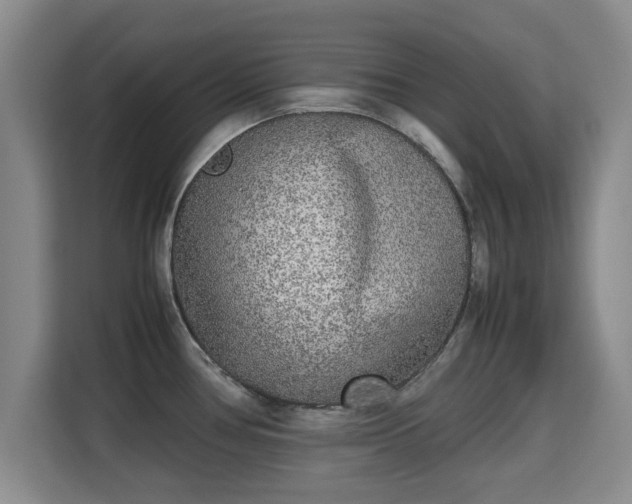 X0000115721386200911191343