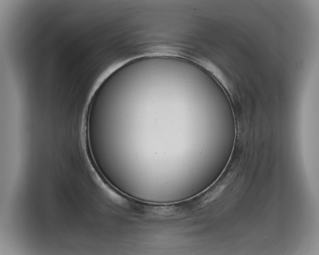 X0000115721387200911191343