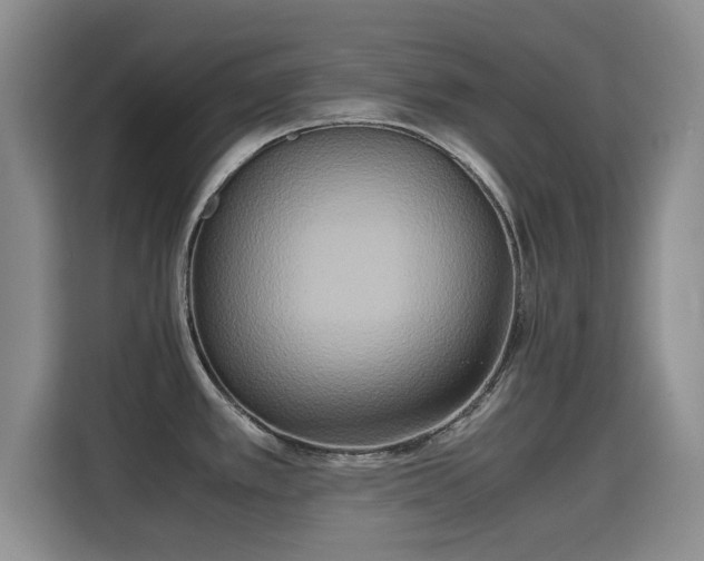 X0000115721389200911191343