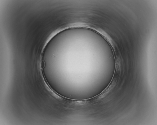 X0000115721390200911191343