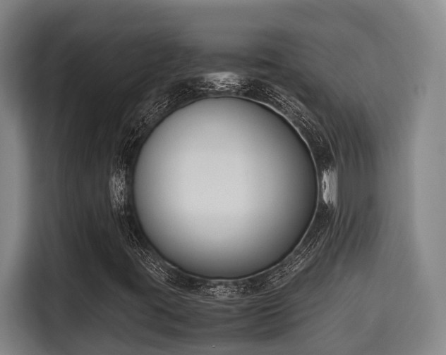 X0000115721395200911191342