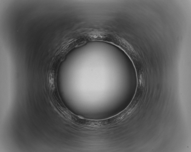 X0000115721396200911191342