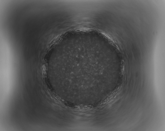 X0000115721397200911191342