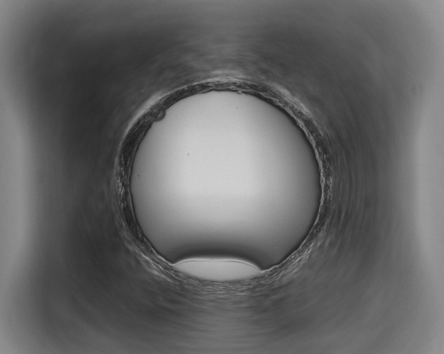 X0000115721400200911191342